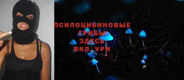 дурь Абинск
