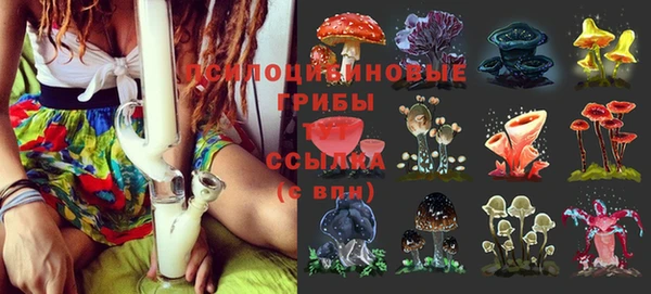 а пвп мука Абаза