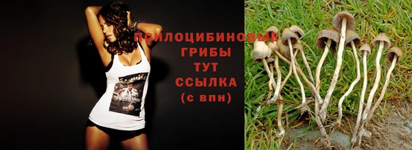 прущие крисы Абдулино