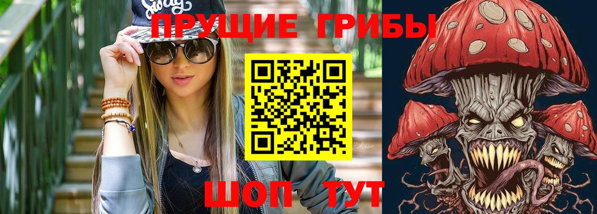 Галлюциногенные грибы Cubensis Россошь
