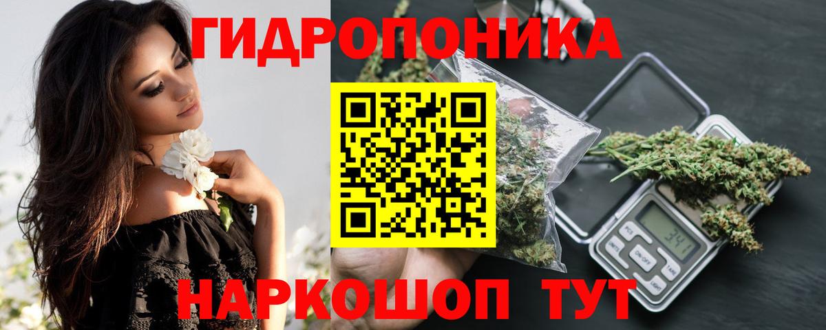 Конопля план  Шишки марихуана White Widow  Россошь  Вход с VPN  Шишки марихуана гибрид  Шишки марихуана White Widow 